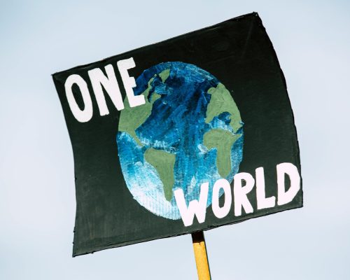 Close-up of a protest sign with Earth and 'One World' text, symbolizing climate change awareness.
